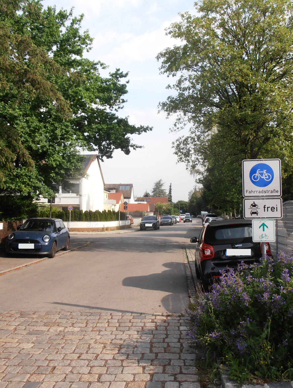 Fahrradstrasse Erzberger und Fasanenstrasse